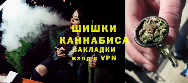 сатива Богородск