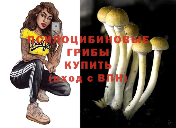 сатива Богородск