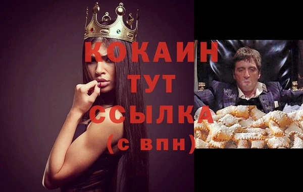 сатива Богородск