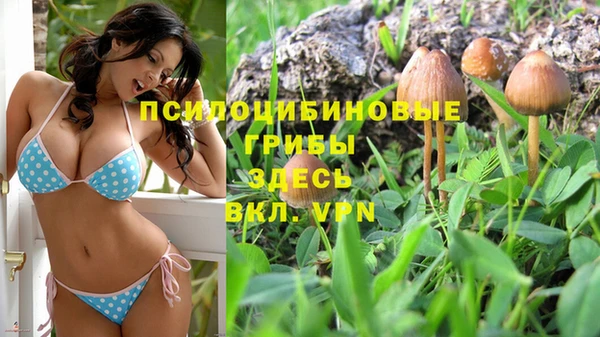сатива Богородск