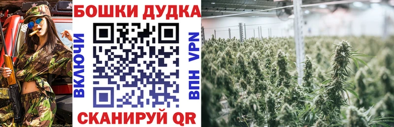 Конопля индика  Кандалакша 